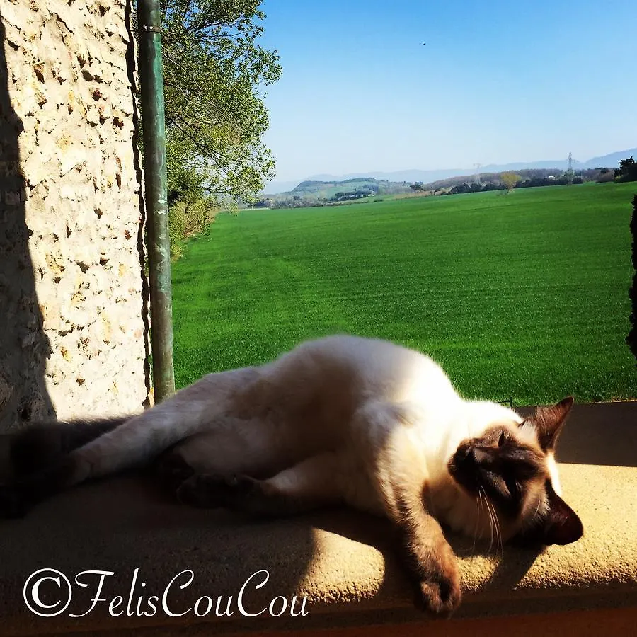 Bed & Breakfast B&B Podere La Pace Vada