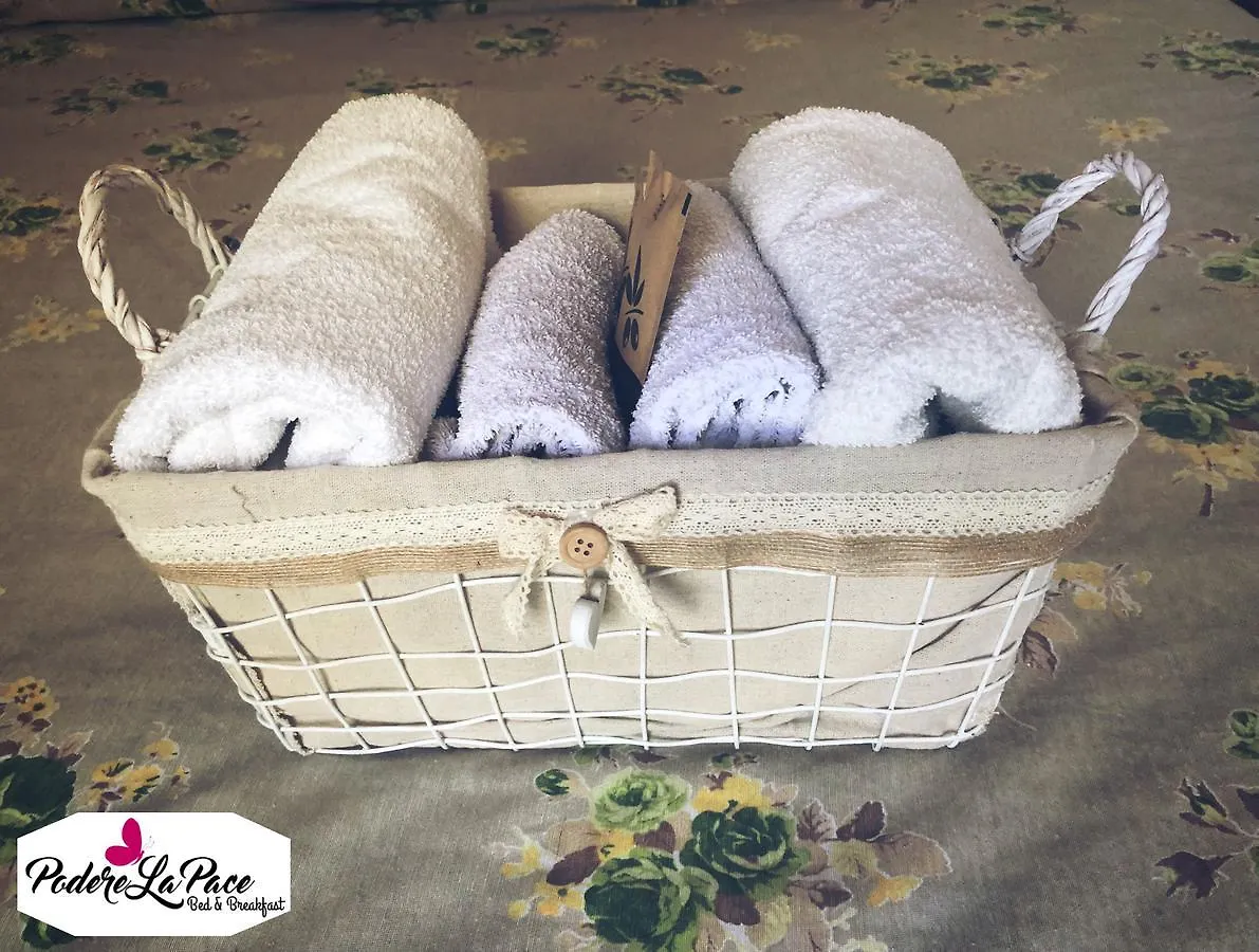 Bed & Breakfast B&B Podere La Pace Vada Italia