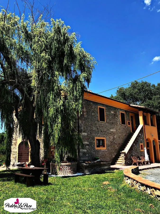 B&B Podere La Pace Vada 0*,